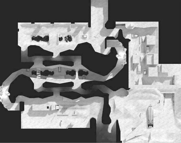 de_survivor
